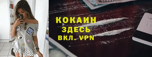 гашик Ельня