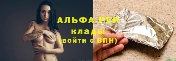гашик Ельня