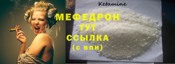 гашик Ельня