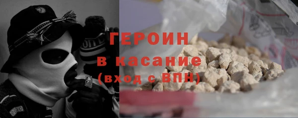 гашик Ельня