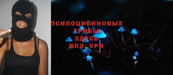 MESCALINE Елизово