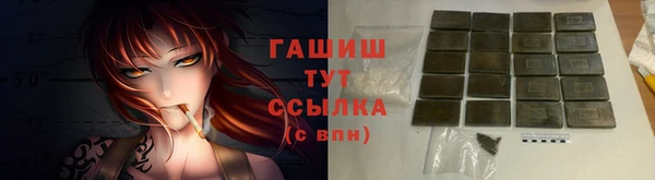 гашик Ельня