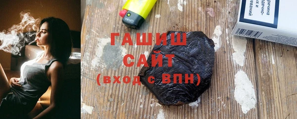 гашик Ельня
