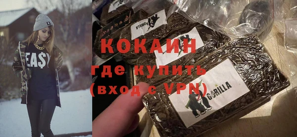 гашик Ельня