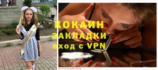 гашик Ельня
