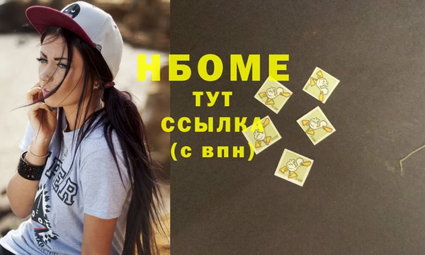 гашик Ельня