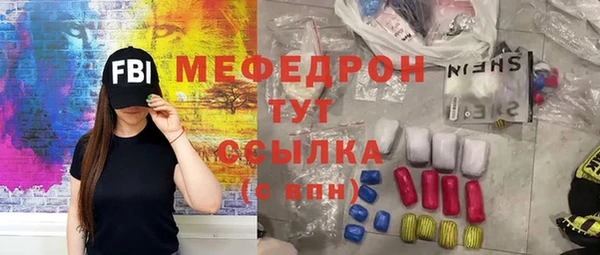 гашик Ельня