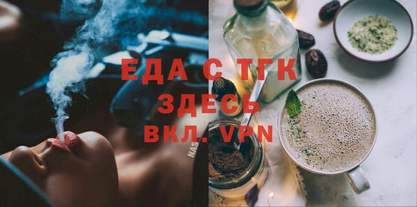 гашик Ельня