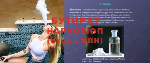 гашик Ельня