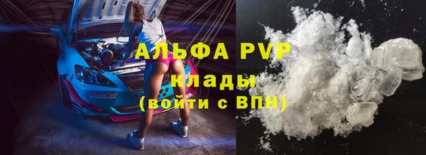 гашик Ельня