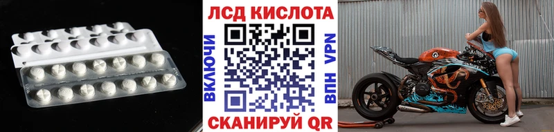 Купить закладки  Новозыбков  Лсд 25 экстази кислота 