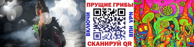 Купить где  Новозыбков  Псилоцибиновые грибы ЛСД 